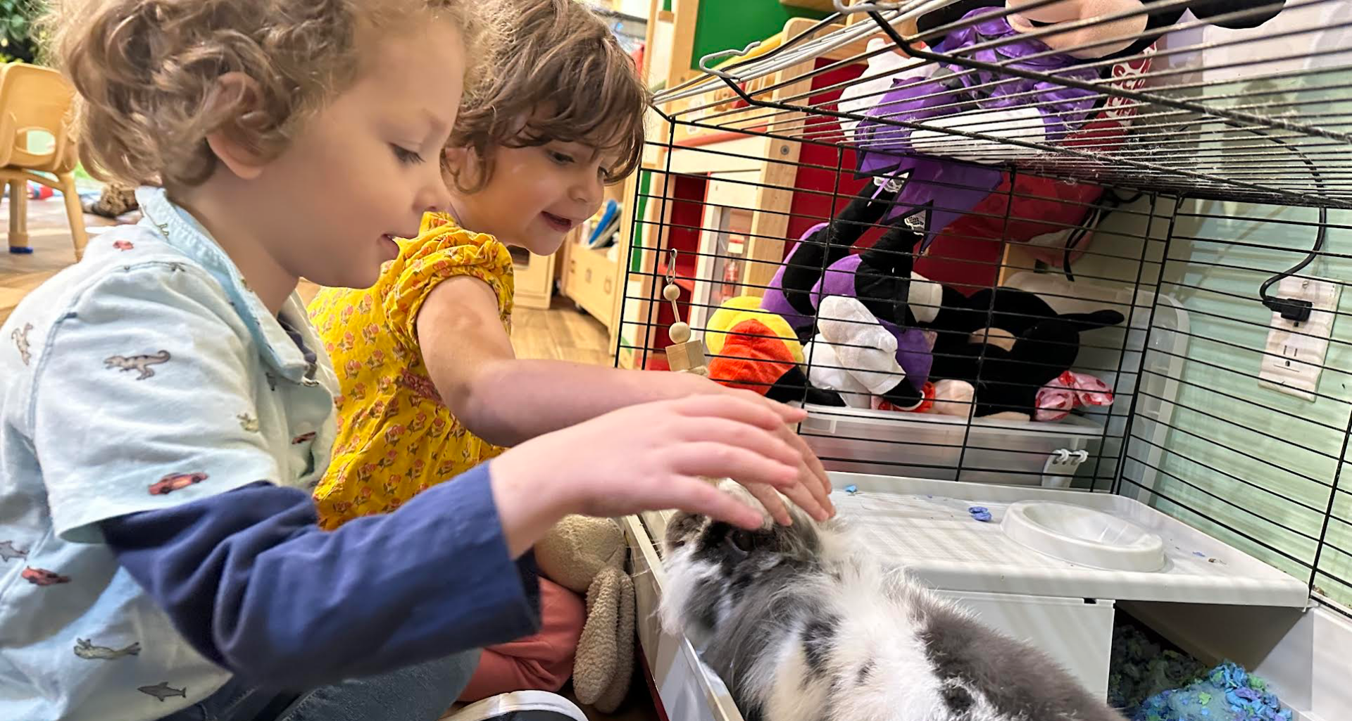 Brooklyn Preschool & Daycare Where Curiosity Becomes Discovery (sponsored) | Brooklyn Bridge Parents