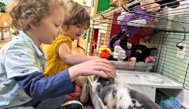Brooklyn Preschool & Daycare Where Curiosity Becomes Discovery (sponsored) | Brooklyn Bridge Parents