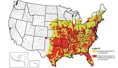 New Tick-Borne Virus Makes First Appearance in New York