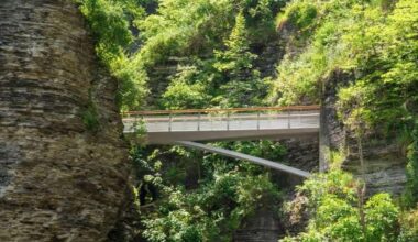 Watkins Glen Park