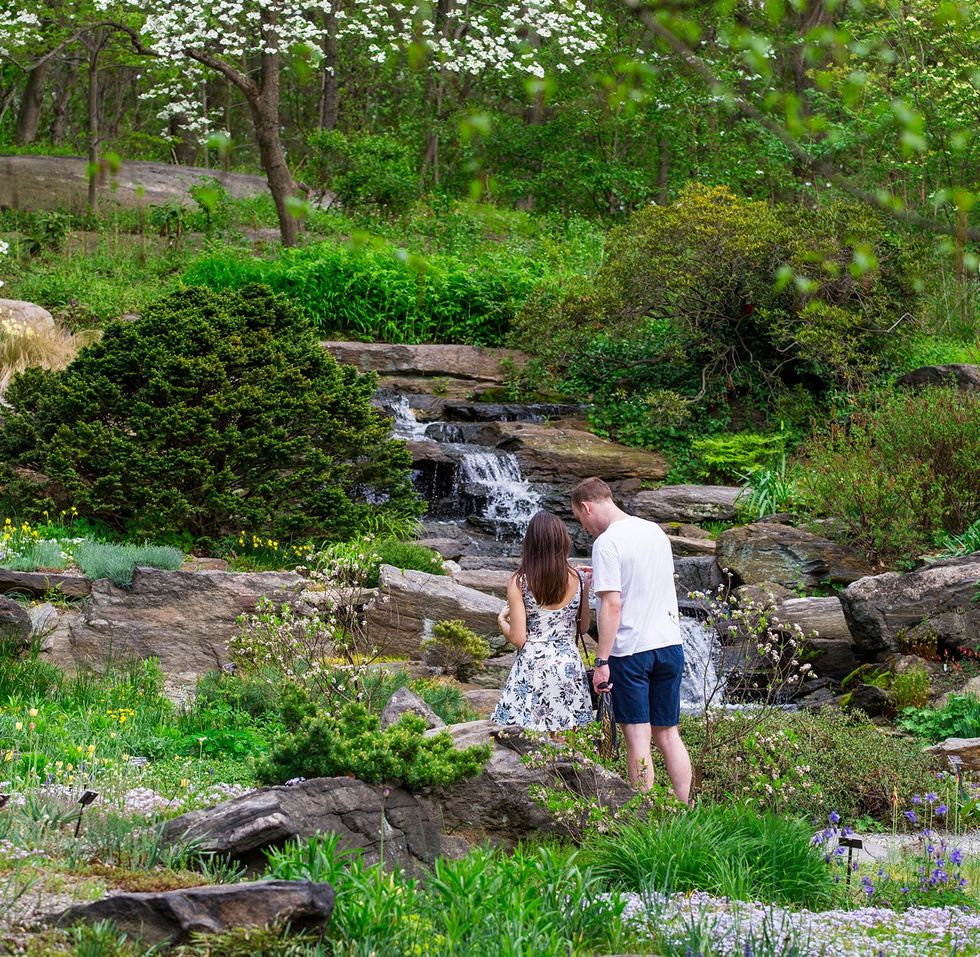 A couple stands in front of a small waterfall in NYBG's Rock Garden
