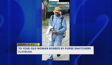 News 12 | Brooklyn | Two People Shot At During Williamsburg Robbery