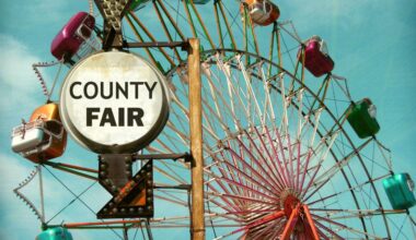 Circus performer airlifted after arrow strike during live county fair act