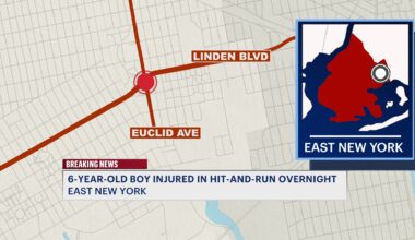 News 12 | Brooklyn | 6 Year Old Struck By Hit And Run Driver In East New York