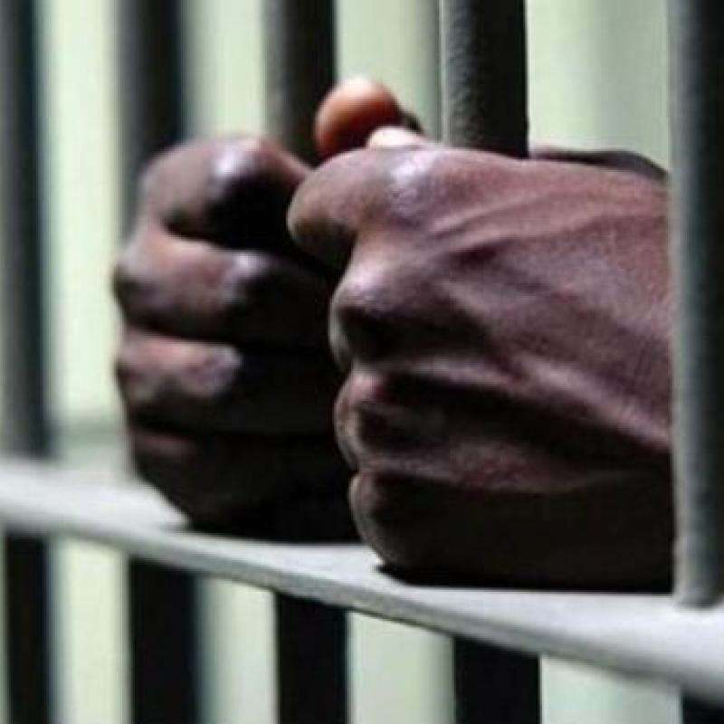 Jamaican man charged for shooting death of niece in Bronx | News
