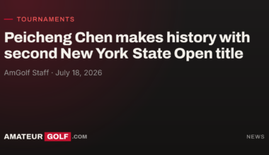 Piecheng Chen