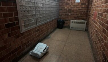 News 12 | Bronx | Taking Action Soundview Apartment Tenants Without Mail Delivery For Over A Month
