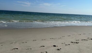Take a ferry or a train to the beach this summer | Brooklyn Bridge Parents