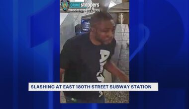 News 12 | Bronx | Suspect Sought In East 180th Street Subway Station Slashing
