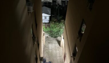 Questions remain after toddler survives 5-story fall from New York building – The Mercury News