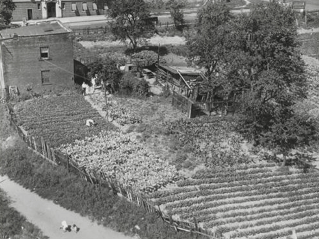 Aerial view of a small two-story brick house surrounded by an extensive garden, featuring rows of crops, trees, and garden structures. People are seen tending to the garden, with a dirt path in the foreground.