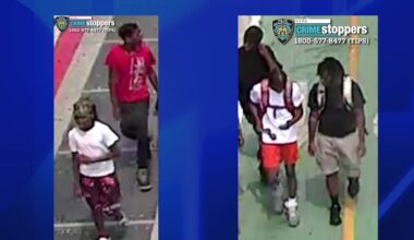 News 12 | Bronx | Teen Arrested Five Others Wanted In Violent Longwood Robbery Targeting 74 Year Old