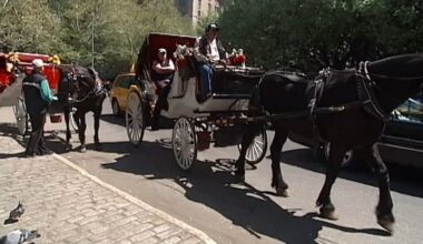 (Spectrum News NY1)