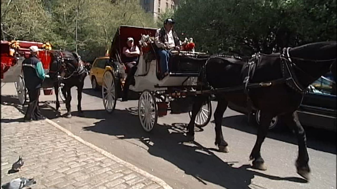 (Spectrum News NY1)