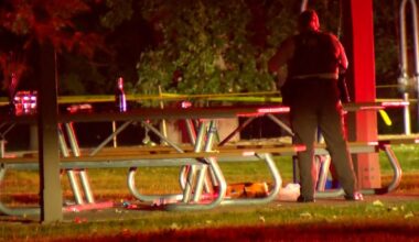 Teen arrested in Illinois in connection with fatal shooting at Twin Cities park