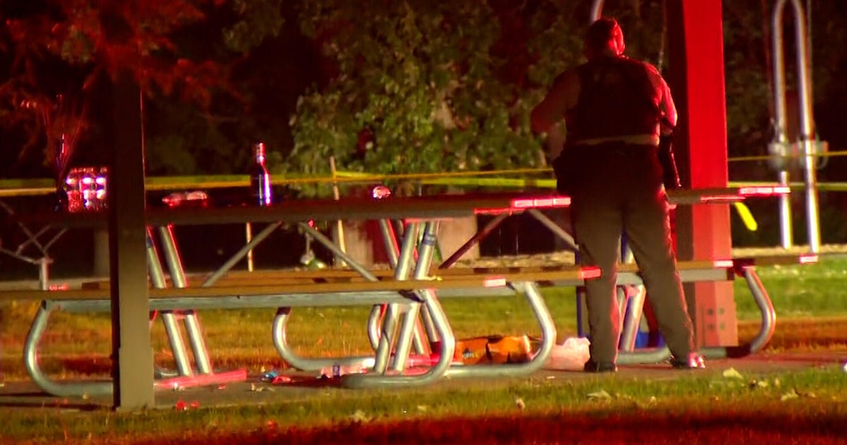 Teen arrested in Illinois in connection with fatal shooting at Twin Cities park