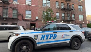 1-year-old falls from 5th-floor window in the Bronx, person of interest in custody, police say