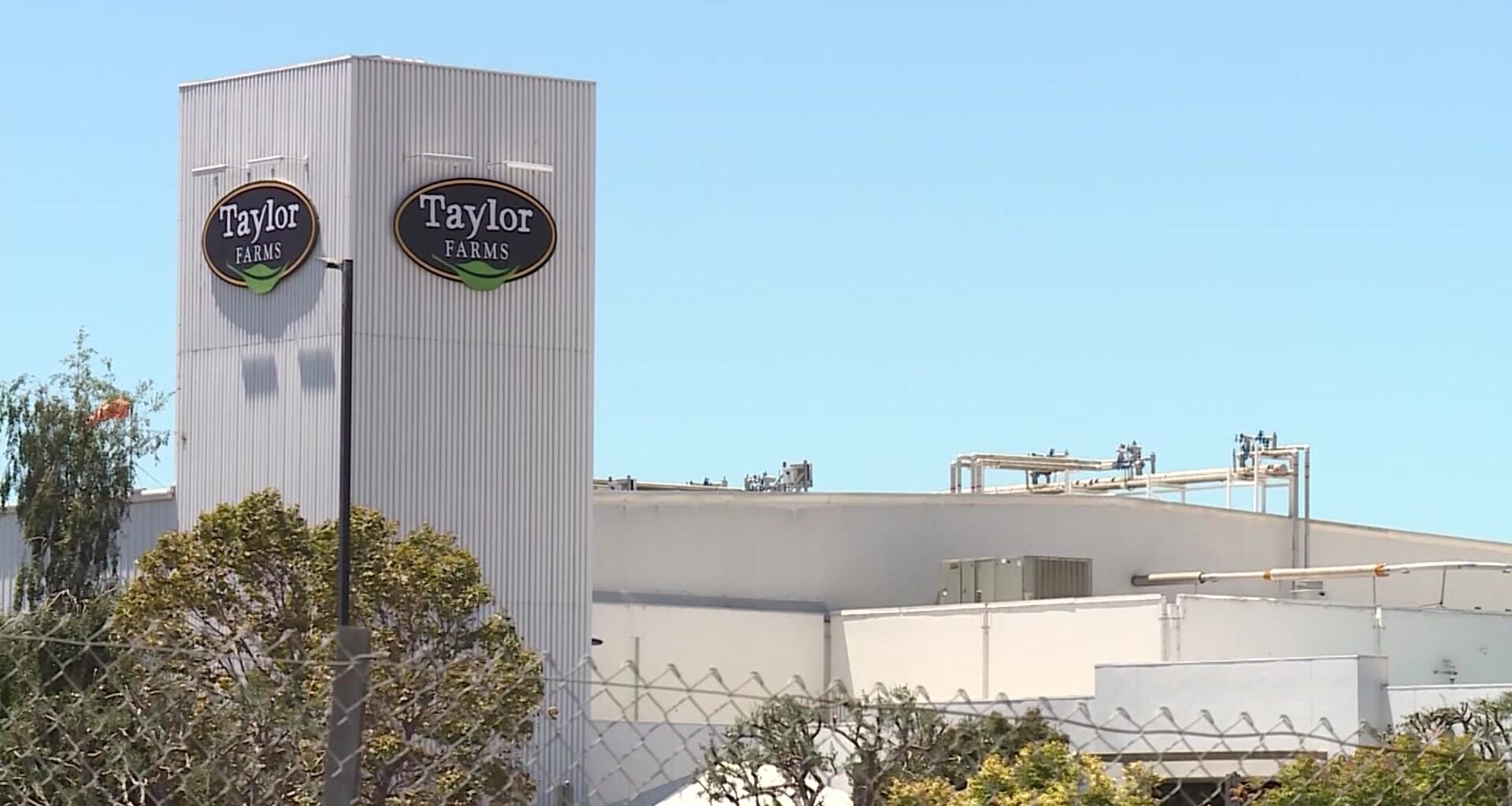 News 12 | Bronx | Fda Says Taylor Farms Lettuce Tested For Cyclospora Was A False Positive None Detected