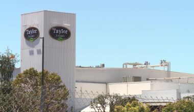 News 12 | Bronx | Fda Says Taylor Farms Lettuce Tested For Cyclospora Was A False Positive None Detected