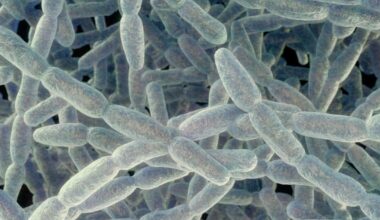 4th death reported in Legionnaires' disease outbreak on NYC's Upper East Side