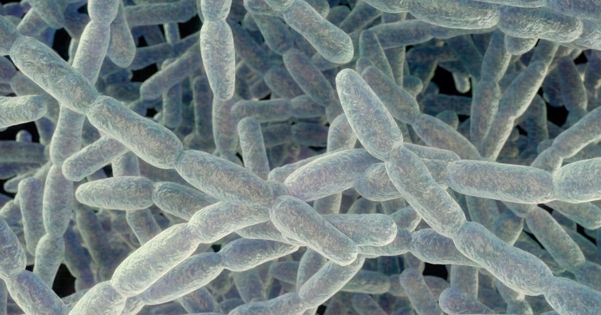 4th death reported in Legionnaires' disease outbreak on NYC's Upper East Side