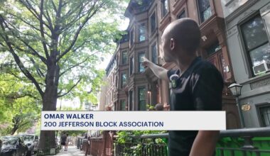 News 12 | Brooklyn | Bed Stuy Residents Fear More Trees Could Collapse After 4 Left Injured By Falling Branches