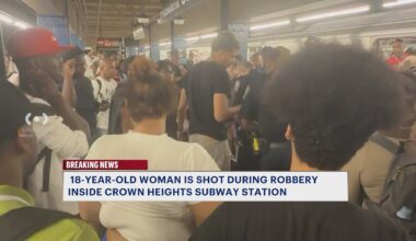 News 12 | Brooklyn | Woman Shot During Robbery At Crown Heights Subway Station