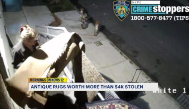 News 12 | Brooklyn | Over 4k Worth Of Antique Rugs Stolen In Bushwick