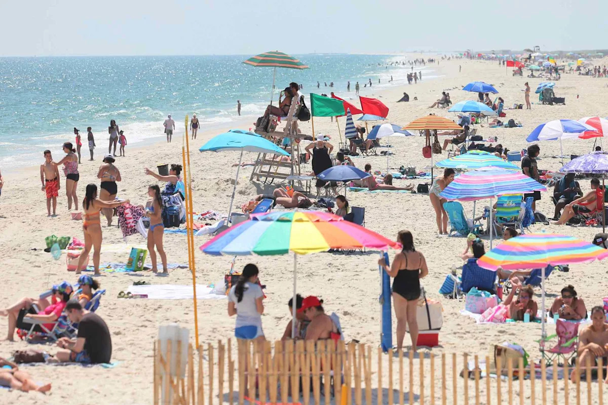 Man Injured in Potential Shark Attack off Long Island Following String of Shark Sightings in N.Y.C. Area