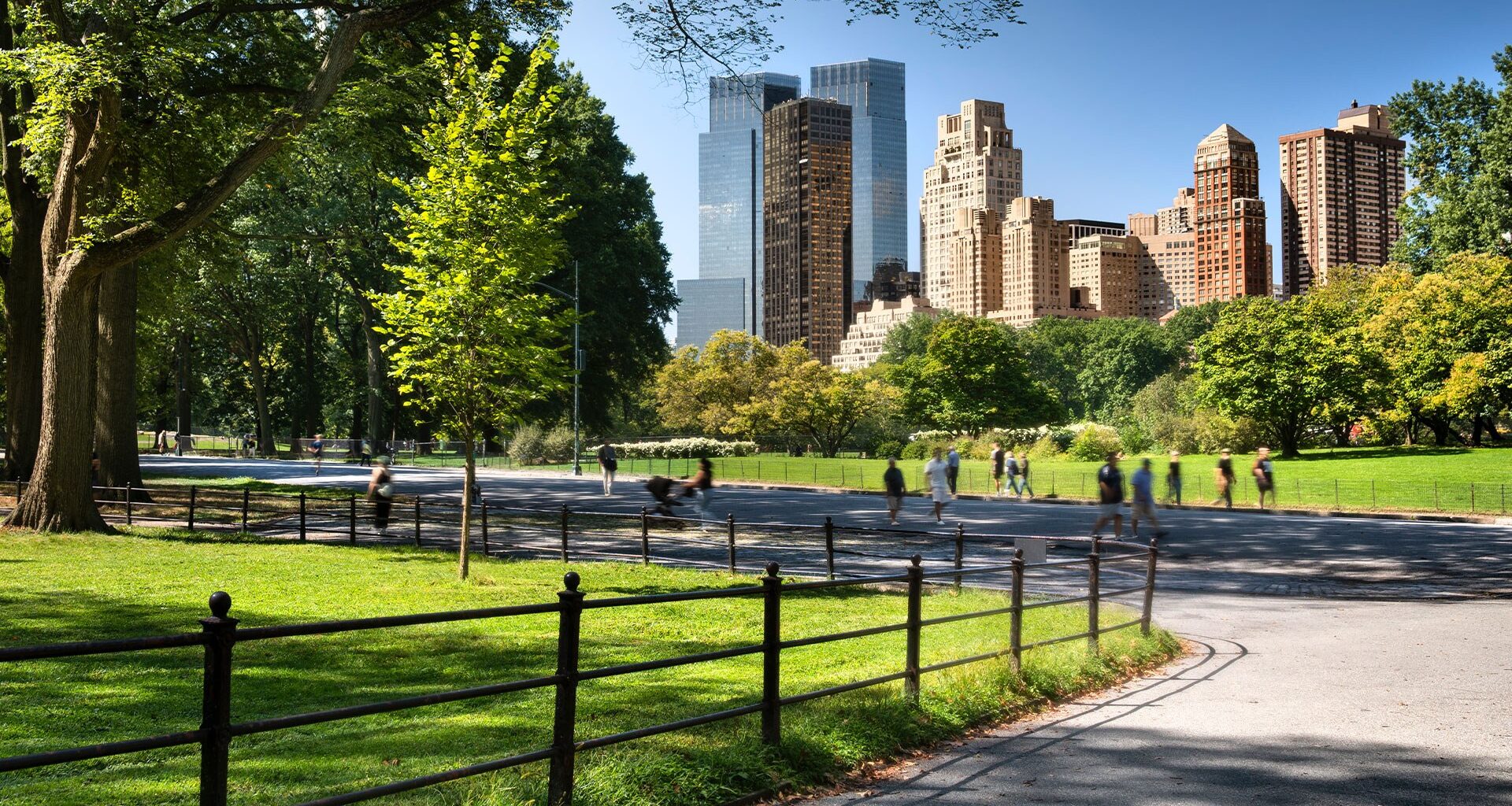 Iconic piece of New York City faces strict ban under new 'Central Park' law