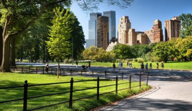 Iconic piece of New York City faces strict ban under new 'Central Park' law