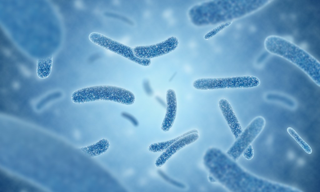 3D illustration of blue microscopic Legionella pneumophila bacteria.