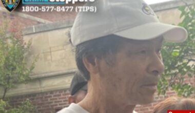 Maniac punches 81-year-old woman in face during random NYC street argument: cops