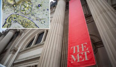 Met Museum, elite NYC prep schools among 76 buildings positive for bacteria behind Legionnaires' outbreak