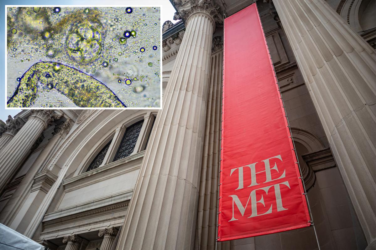 Met Museum, elite NYC prep schools among 76 buildings positive for bacteria behind Legionnaires' outbreak