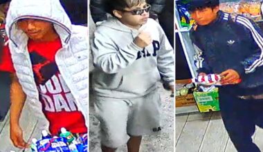 NYC deli worker stabbed repeatedly while trying to stop trio from stealing 2 cases of Modelo beer