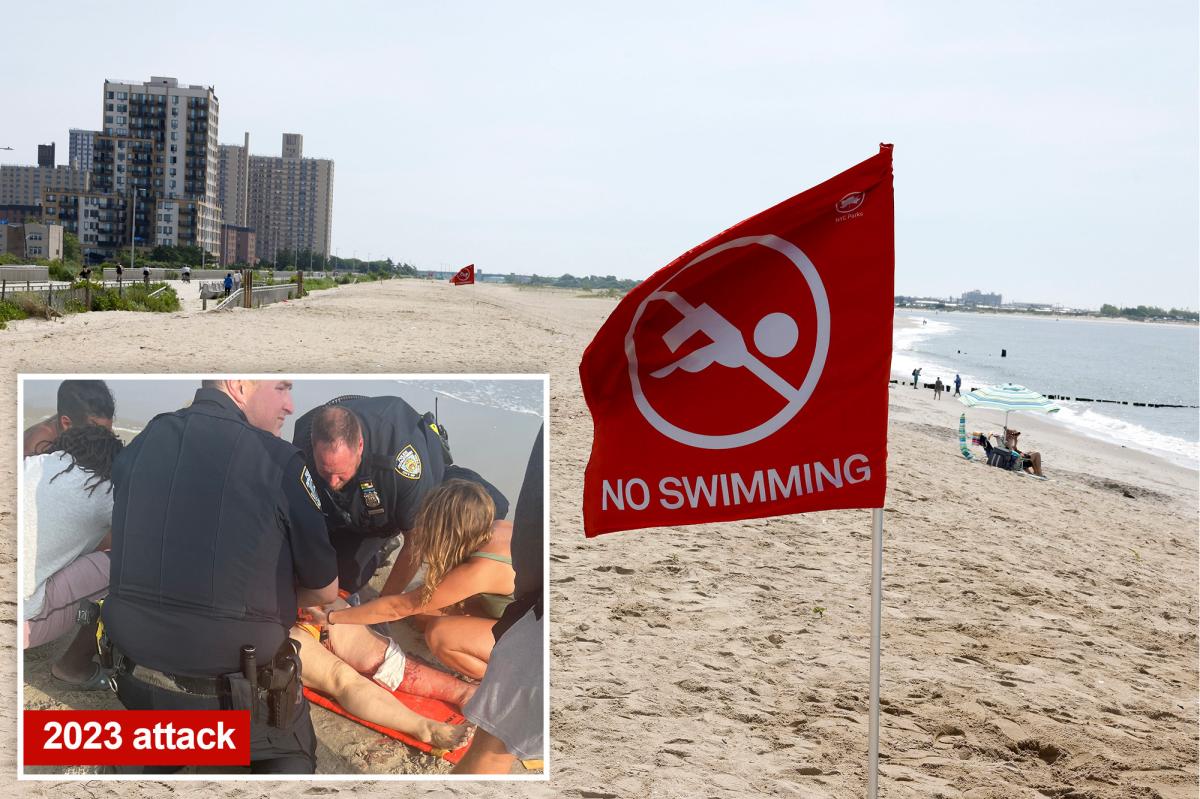 Swarm of bull sharks shut down NYC's Rockaway Beach during 4th of July weekend heatwave