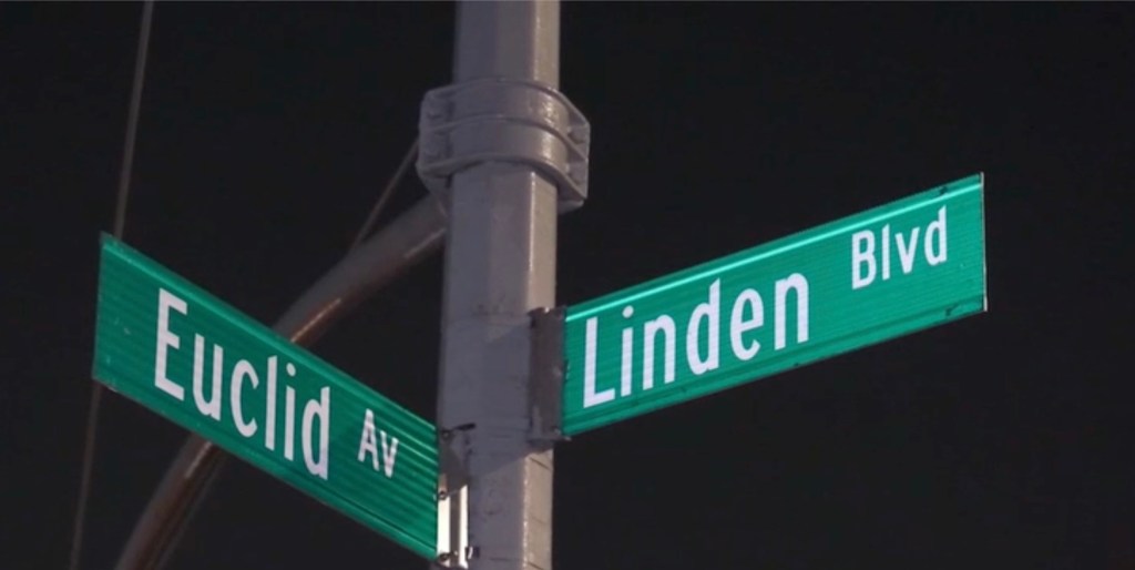 Corner of Linden Blvd. and Euclid Ave.