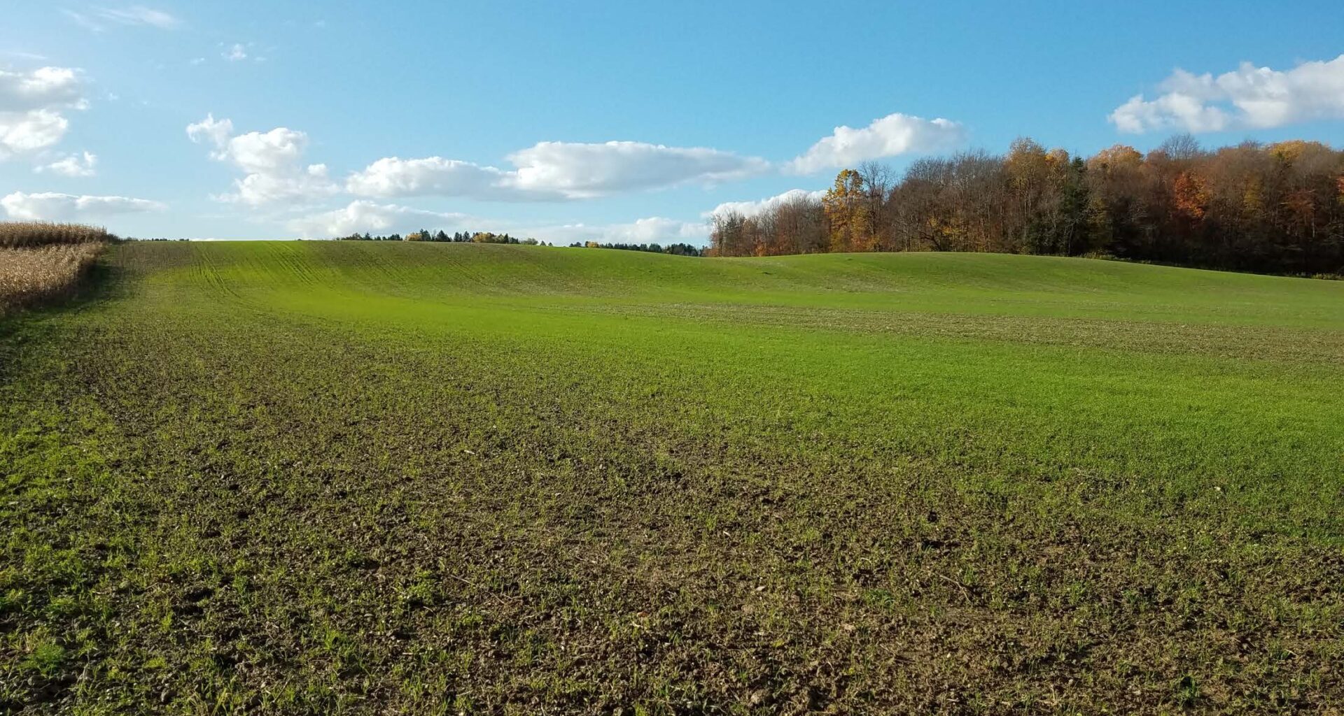 New York State Soil and Water Conservation Committee to Meet July 21, 2026
