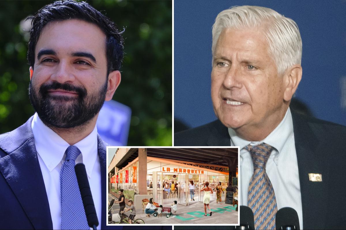 Blakeman: I'll use NY Constitution to block Mamdani's plan