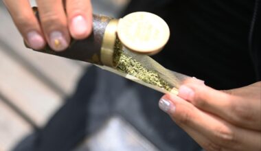 A message to New York's weed legalizers: We told you so