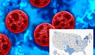 'Explosive diarrhea' parasite invades Long Island as separate bacteria outbreak sickens dozens after music festival