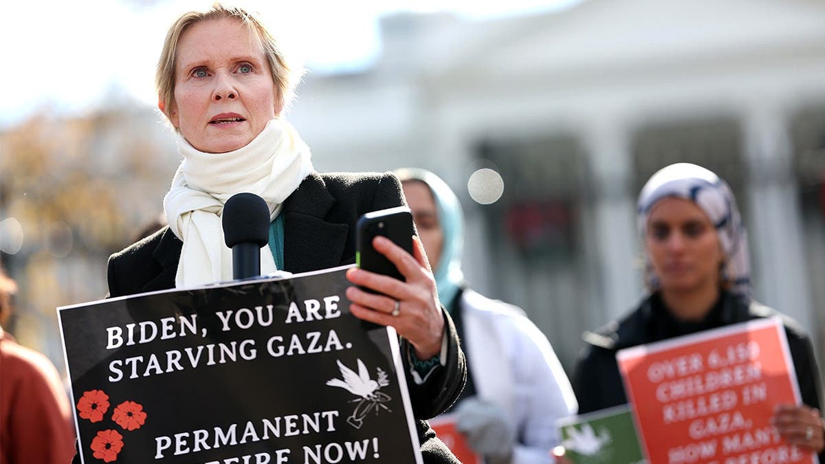 Cynthia Nixon speaks outside the White House during Gaza ceasefire protest.