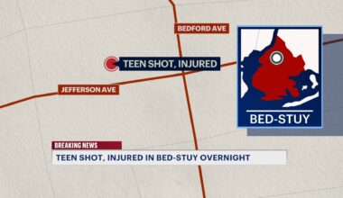 News 12 | Brooklyn | Teen Injured In Bed Stuy Shooting