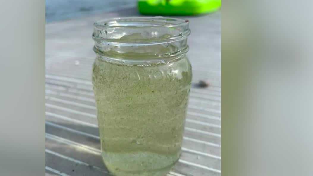 Beaches across Northern New York on alert due to cyanobacteria