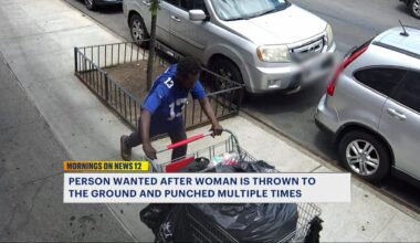 News 12 | Bronx | Man Wanted For Attacking 74 Year Old Woman In Mount Eden