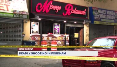 News 12 | Brooklyn | Man Dies After Being Shot In The Head In Fordham Heights