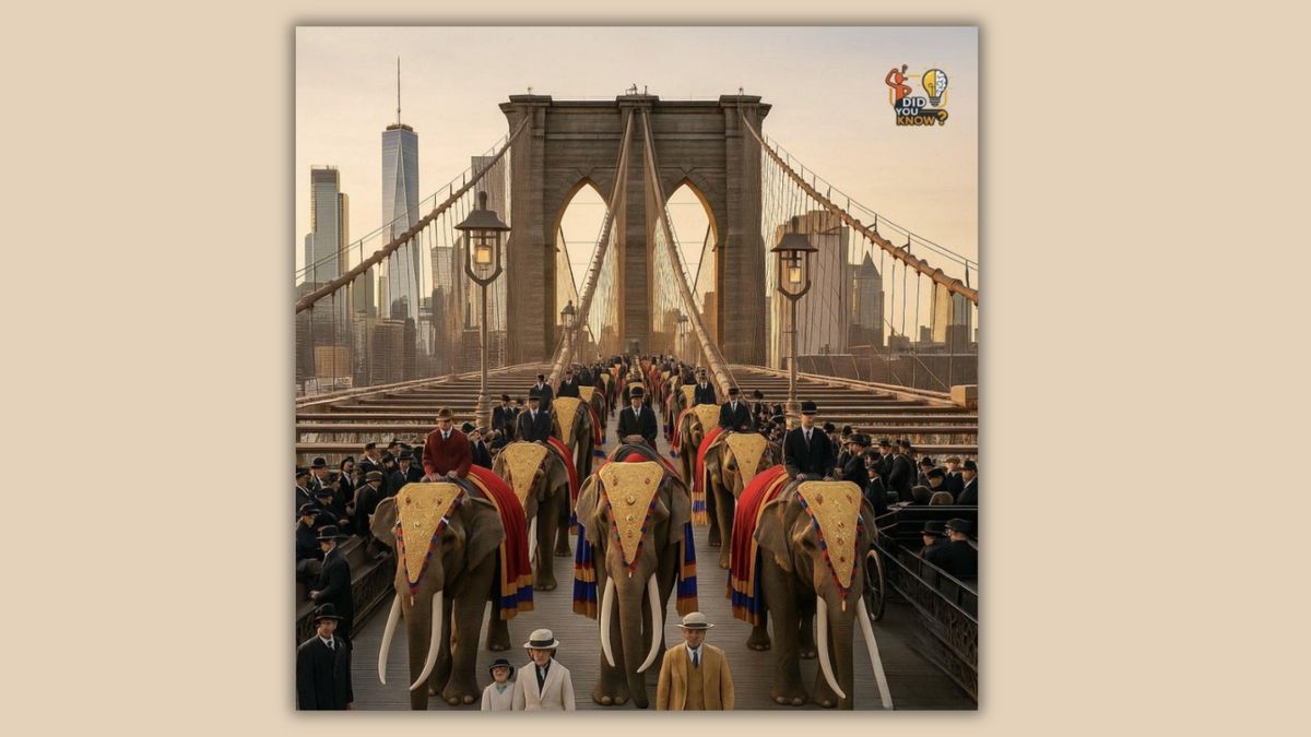 Did PT Barnum march 21 elephants across Brooklyn Bridge to prove it was safe?