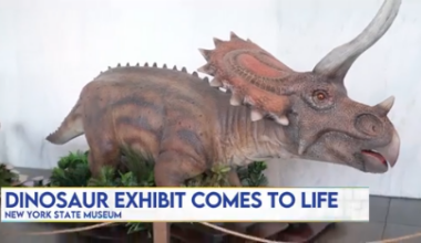 New dinosaur exhibit brings prehistoric adventure to New York State Museum