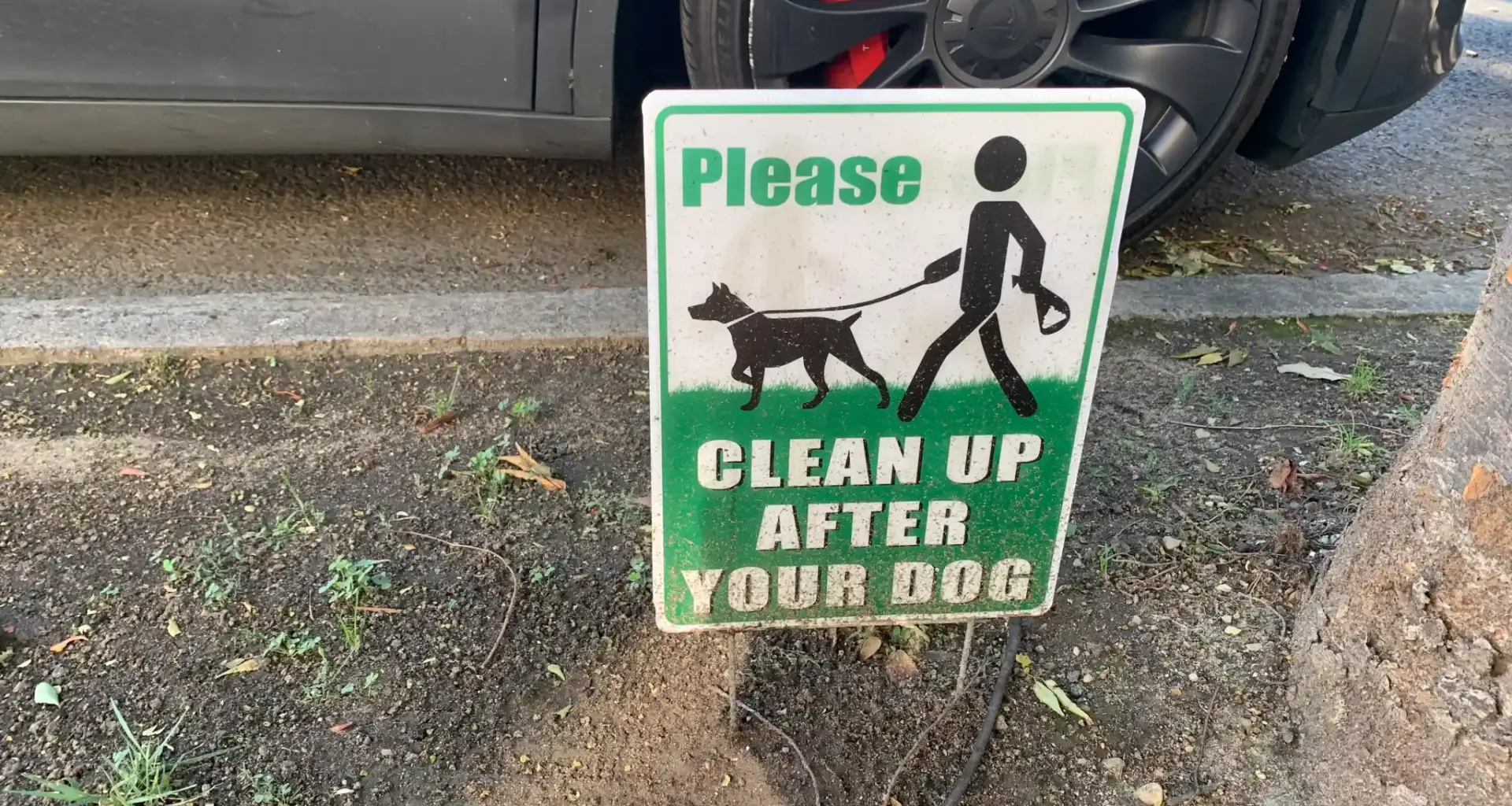 Watch your step! Dog poop is piling up on Manhattan streets and sidewalks, per new report